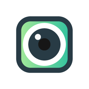 wifi security camera icon