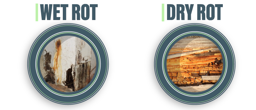 A comparison between dry and wet wood rot